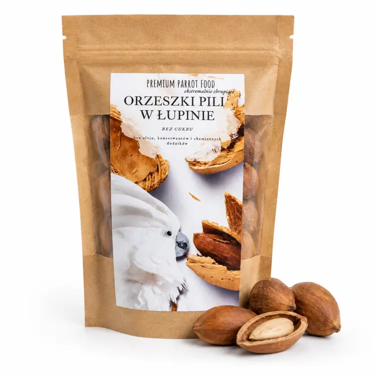 Noix de pili en coque pour perroquets – friandise naturelle ParrotPlanet.fr