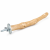 Perchoir Java S pour perroquets – bois naturel de caféier, 20 cm, Ø env. 2 cm ParrotPlanet.fr