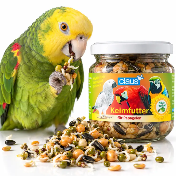 Graines naturellement pré-germées pour grands perroquets – 210 ml ParrotPlanet.fr