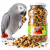 Graines naturellement pré-germées pour grands perroquets – 720 ml ParrotPlanet.fr