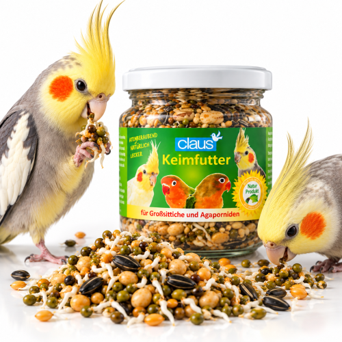 Graines naturellement pré-germées pour perroquets moyens – 210 ml  ParrotPlanet.fr
