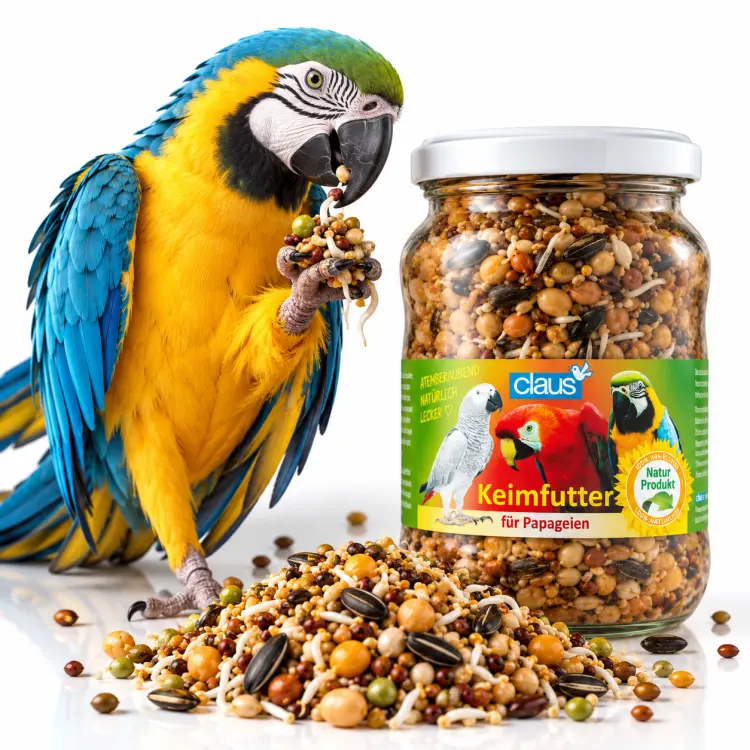 Graines naturellement pré-germées pour grands perroquets – 370 ml  ParrotPlanet.fr