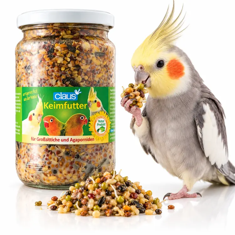 Graines naturellement pré-germées pour perroquets moyens – 370 ml  ParrotPlanet.fr