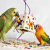 Boîte Géante – Jouet de Foraging pour Perroquets Moyens et Grands 30 cm ParrotPlanet.fr