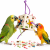 Boîte Géante – Jouet de Foraging pour Perroquets Moyens et Grands 30 cm ParrotPlanet.fr