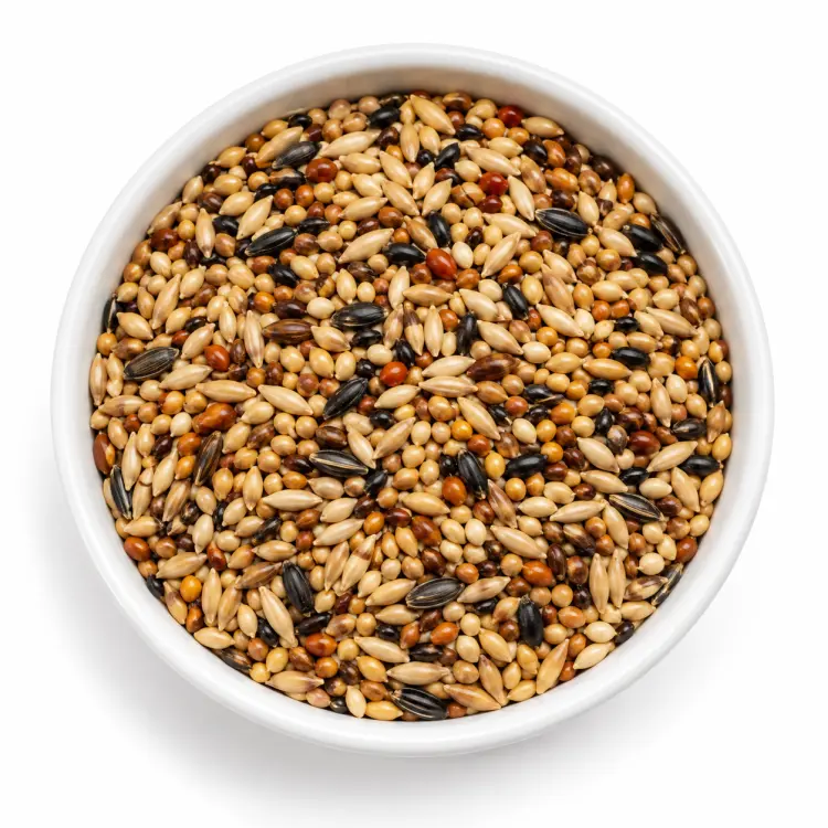 Vitapol Pokarm dla kanarków ECONOMIC 1200g od ParrotPlanet.pl