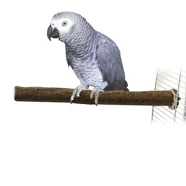 Żerdź z drzewa orzechowego dla dużych i średnich papug 40 x 2,5 cm od ParrotPlanet.pl