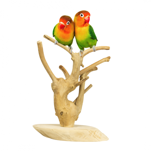 Stojak drzewko JAVA na stół dla papug rozm.S od ParrotPlanet.pl