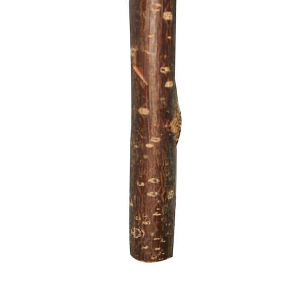 Żerdź dla małych papug z drzewa orzechowego 25 x 1,7 cm od ParrotPlanet.pl