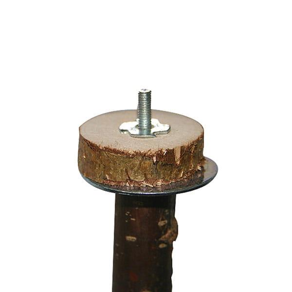 Żerdź dla małych papug z drzewa orzechowego 25 x 1,7 cm od ParrotPlanet.pl