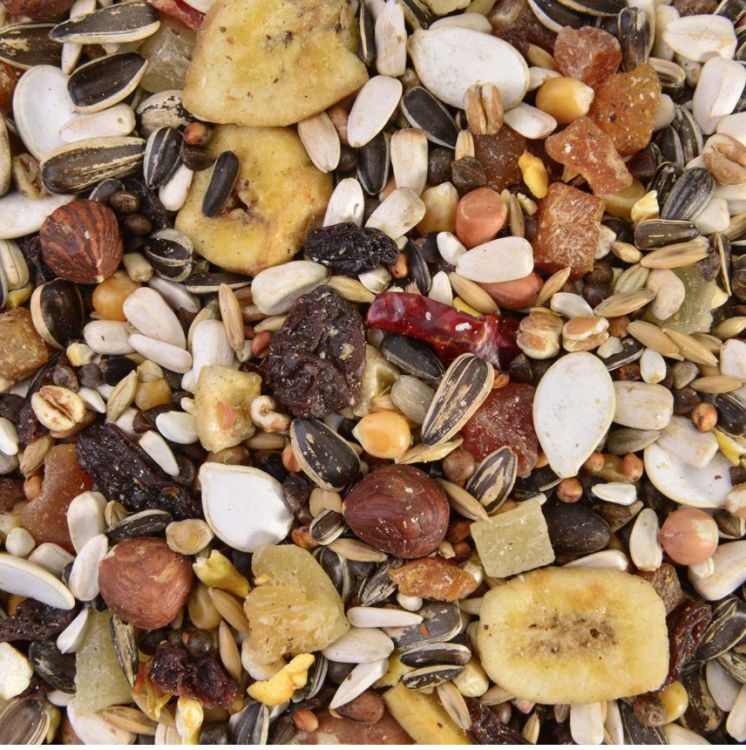 Exotic Fruit Mix Wagner's - mix egzotyczny dla wszystkich papug 1kg od ParrotPlanet.pl