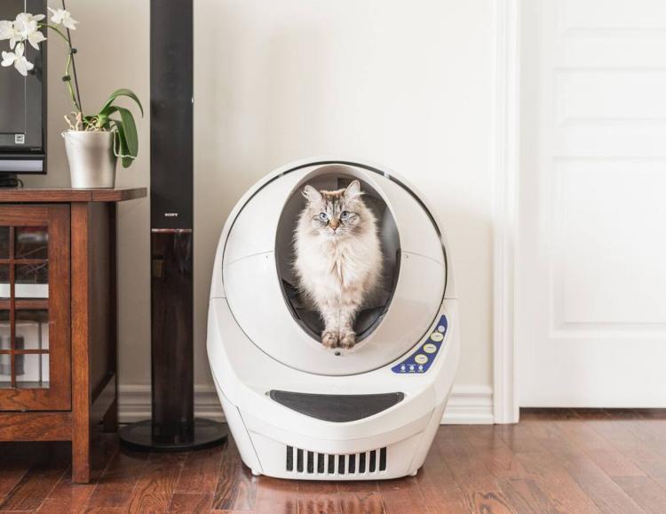 Litter Robot III automatyczna kuwata dla małych i dużych kotów