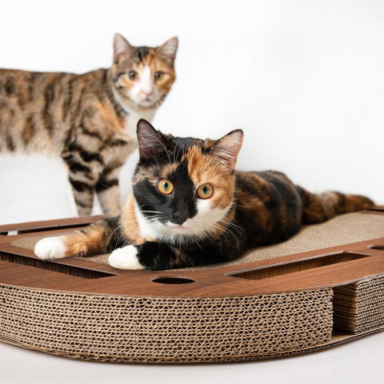 PlayPlate - CanadianCat - Plac zabaw dla kota z drapakiem od ParrotPlanet.pl