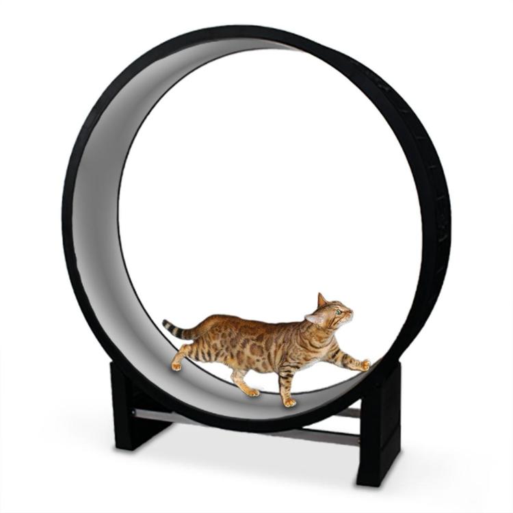 Bieżnia dla KOTA CanadianCat Cat in Motion czarno-szara od ParrotPlanet.pl