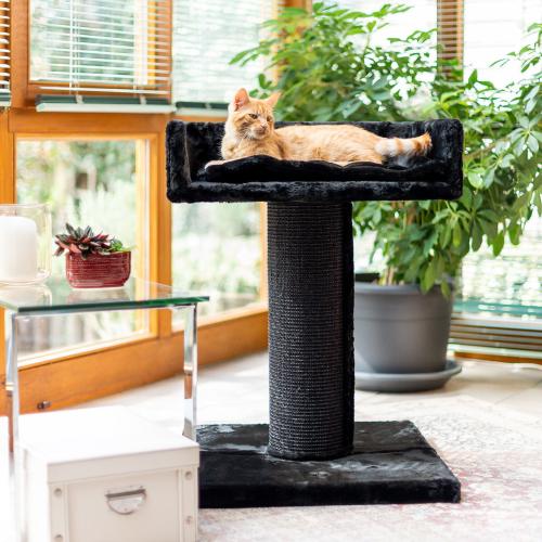 Kolumna Faraona- Drapak, Leżak, Plac zabaw dla Kota Canadian Cat XXL od ParrotPlanet.pl