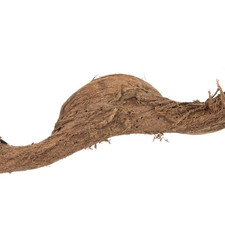 Naturalne kawałki Liany 40-50cm bez mocowania od ParrotPlanet.pl