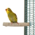 Żerdź do pielęgnacji pazurów S 10cm od ParrotPlanet.pl