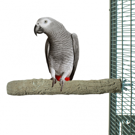 Żerdź do pielęgnacji pazurów L 35x5 cm od ParrotPlanet.pl