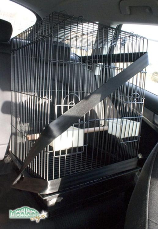 Transporterka Transporter dla papug Montana EOS jasna od ParrotPlanet.pl - wyłączny przedstawiciel Montana w Polsce