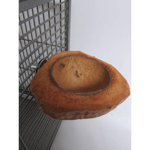 Miseczka CocoNut Bowl - naturalna miska dla wszystkich papug od ParrotPlanet.pl