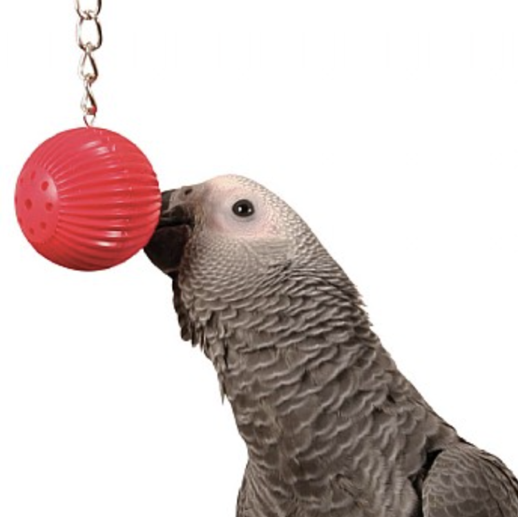 Interaktywna kula do nauki prostych dźwięków dla papug od ParrotPlanet.pl