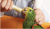 Hagen Hari Tropican Hand Feeding Formula - Pokarm do ręcznego karmienia piskląt 2kg od ParrotPlanet.pl
