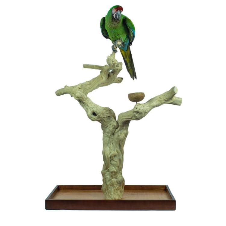 java-tree-playstand-plateau-premium-x-large.jpg