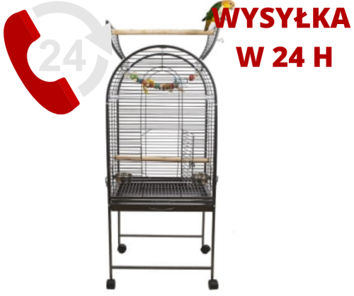 klatki 24h (7).png
