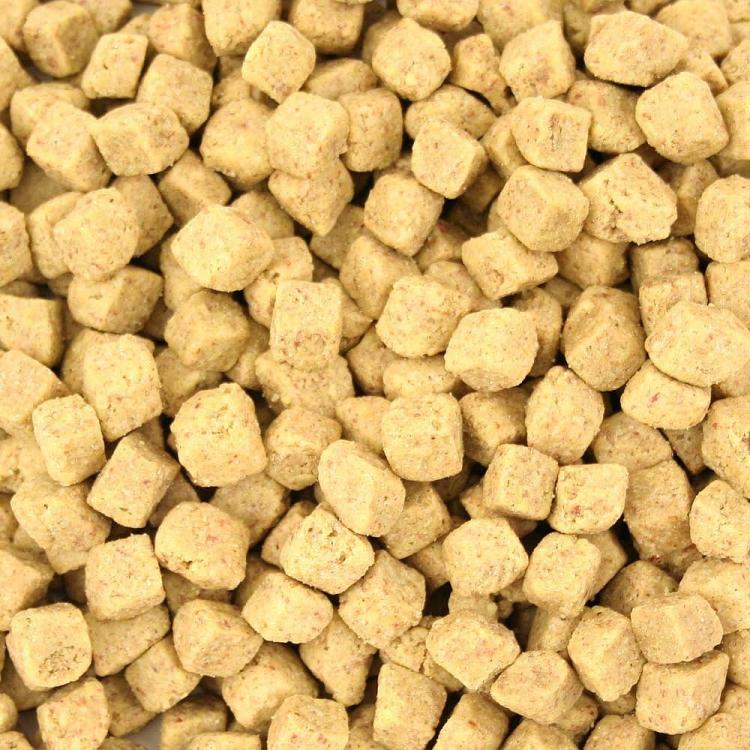 Harrison`s Power Treats - Organic Treats for Parrots - Granulat przejściowy, lub forma zdrowej nagrody 450g od ParrotPlanet.pl