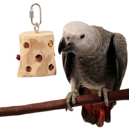 NagrodoMania - zabawka do ukrywania smakołyków dla średnich i dużych papug od ParrotPlanet.pl