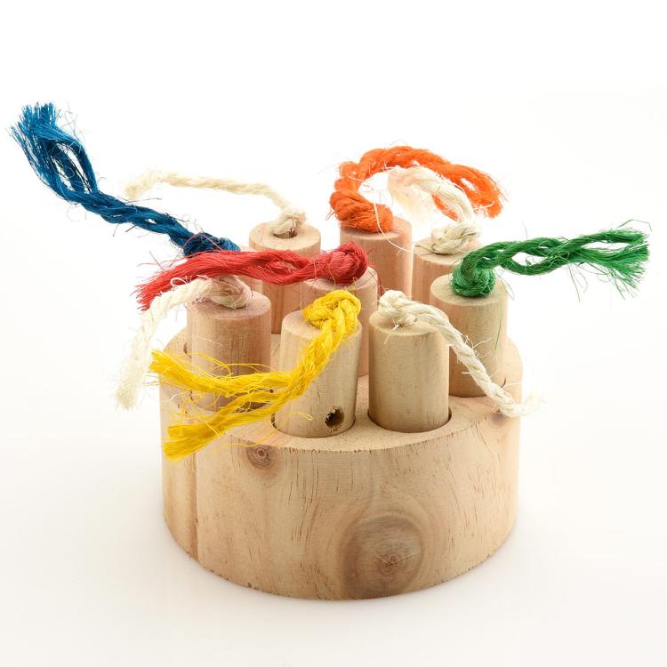 Smakowite Puzzle | Zabawka Edukacyjna dla dużych PaPug od ParrotPlanet.pl