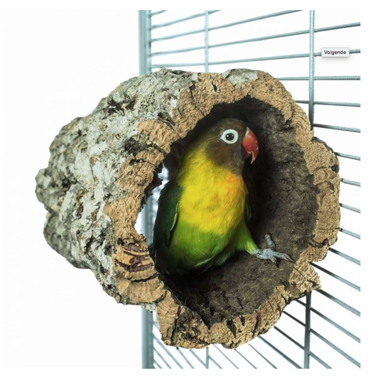 Naturalna żerdź, lub jaskinia z kory drewna rozmiar S - dla średnich i małych papug od ParrotPlanet.pl