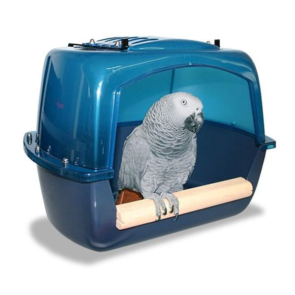 Splash Giant - Basen dla wszystkich gatunków papug od ParrotPlanet.pl