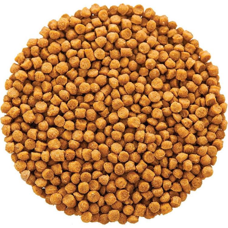 Hagen Hari Tropican Parrot High Performance Granules - Pokarm przejściowy lub codzienny w diecie o zwiększonym zapotrzebowaniu na wartości odżywcze (młode ptaki, ptaki w okresie pierzenia - 820g  od ParrotPlanet.pl