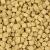 Harrison’s High Potency Coarse 2,27 kg – aliment biologique complet pour perroquets moyens et grands – 15 % de matières grasses ParrotPlanet.fr