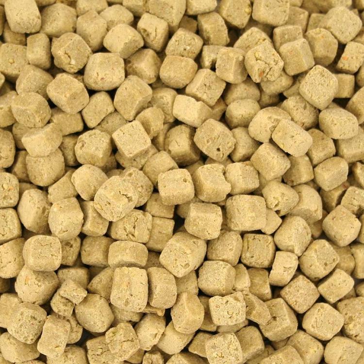 Harrison’s High Potency Coarse 2,27 kg – aliment biologique complet pour perroquets moyens et grands – 15 % de matières grasses ParrotPlanet.fr