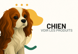 Chien