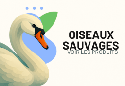 Oiseaux sauvages