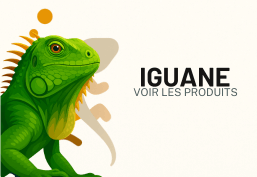 Iguane