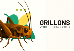 Grillon