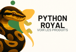 Python royal