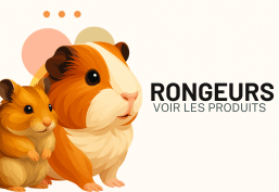 Rongeurs
