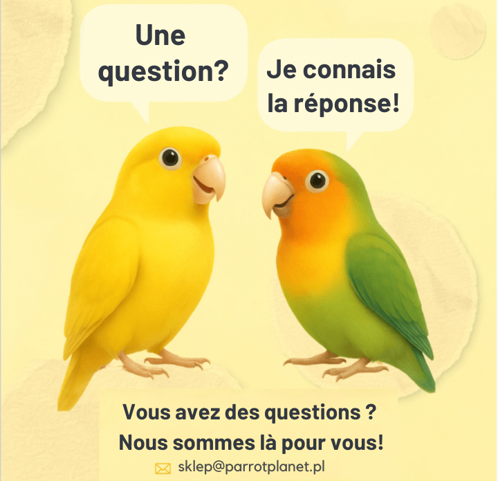 parrot3