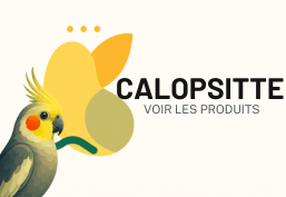 Calopsitte