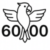Plus de 6 000 produits en offre