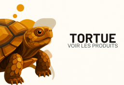 Tortue