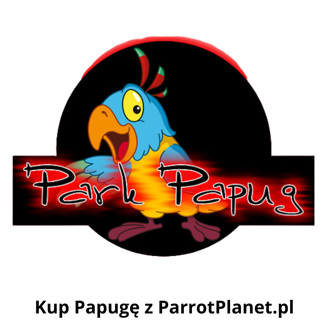 Fabricant : Park Papug (voir les produits)