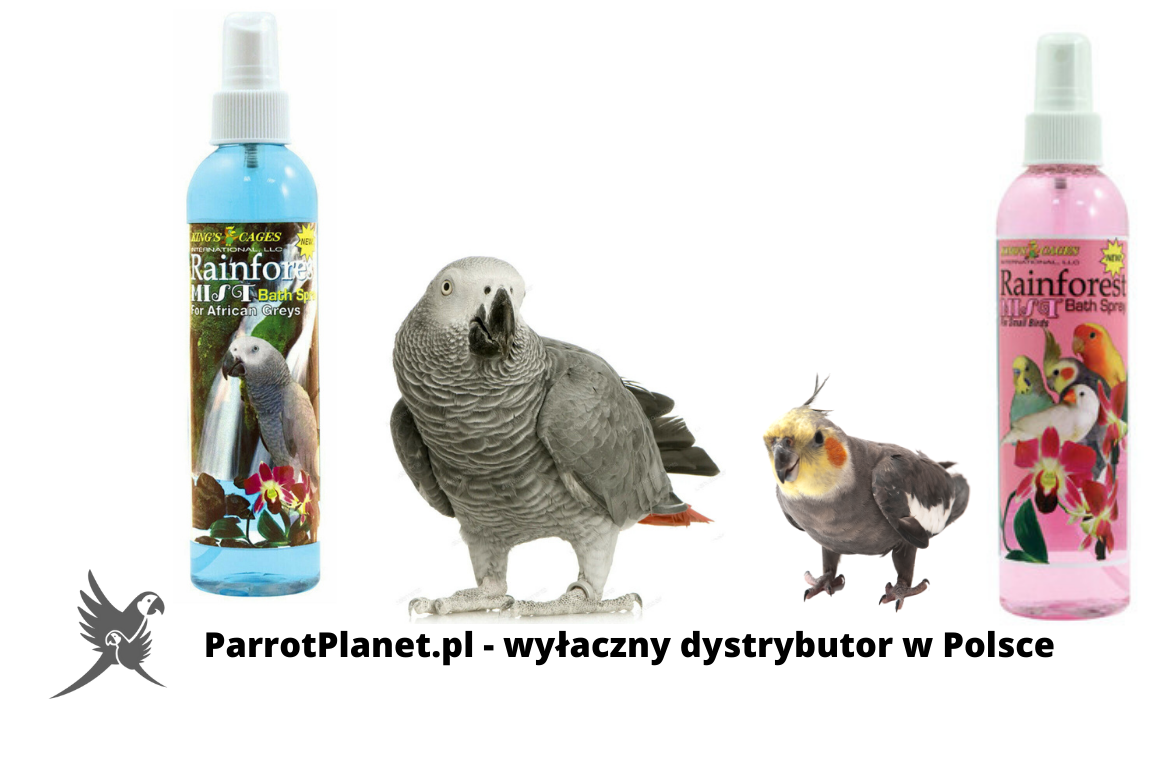 Fabricant : RainForest MIST (voir les produits)